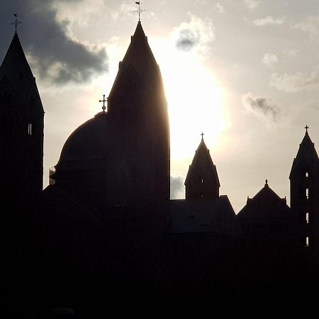 Wohnen Direkt Am Rhein, Zentrums- Und Domnah, 55Qm Lejlighed Speyer Eksteriør billede